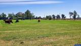 68499 Kunze Ln - Photo 2