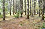 27494 Boundary Rd - Photo 37