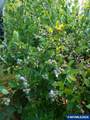 32777 Berlin Rd - Photo 40