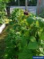 32777 Berlin Rd - Photo 41
