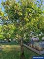 32777 Berlin Rd - Photo 42