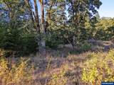 3733 Goldfinch - Photo 1