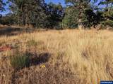 3703 Goldfinch - Photo 1