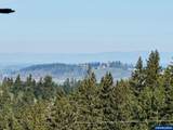 15540 Quall - Photo 6