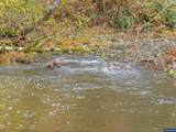 9740 Upper Olalla Rd - Photo 22