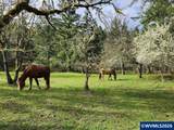 27494 Boundary Rd - Photo 21