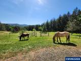 27494 Boundary Rd - Photo 28