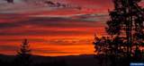 22475 Royal Anne Dr - Photo 43