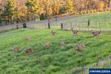 10685 Oak Dr - Photo 40
