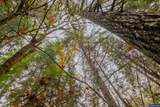 9740 Upper Olalla Rd - Photo 36