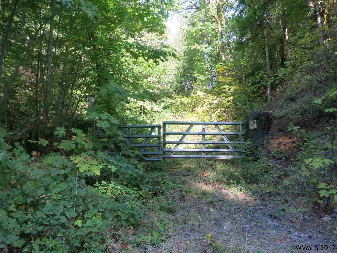 River (T.L. 700) - Photo 1