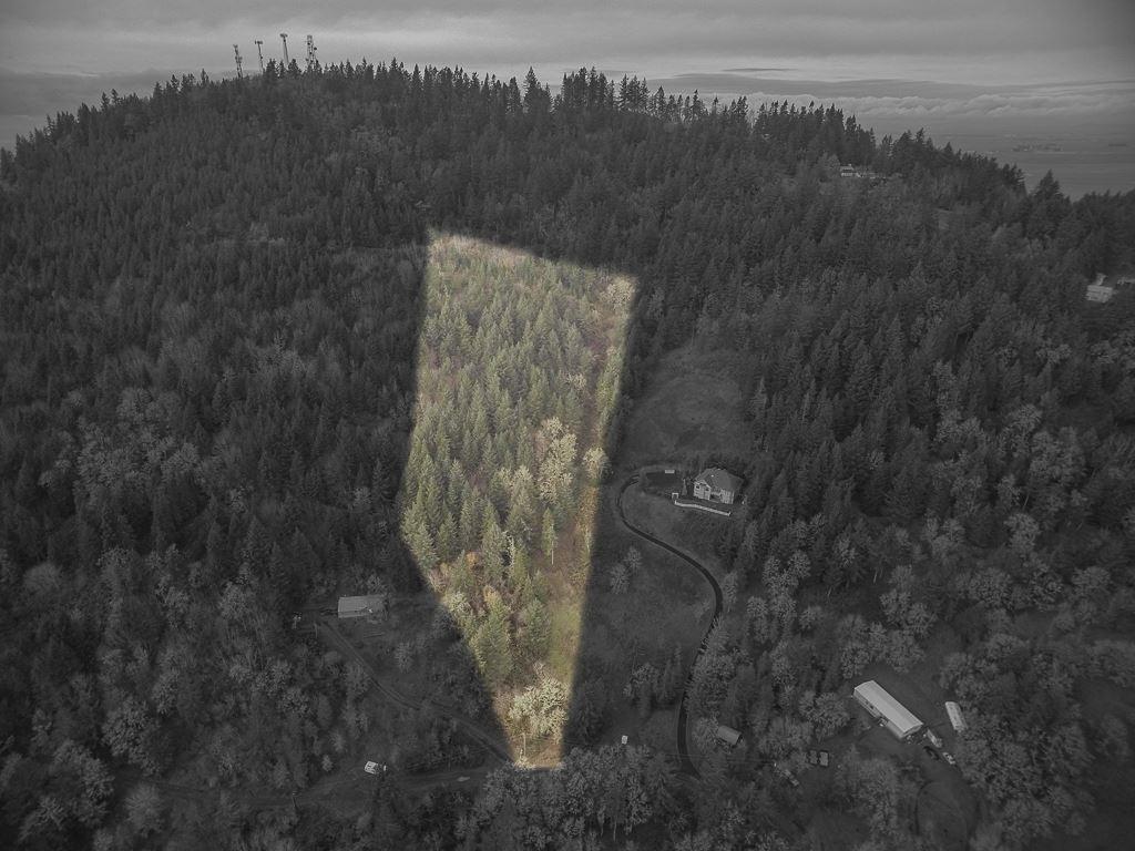 next to 28908 Sheep Head - Photo 1