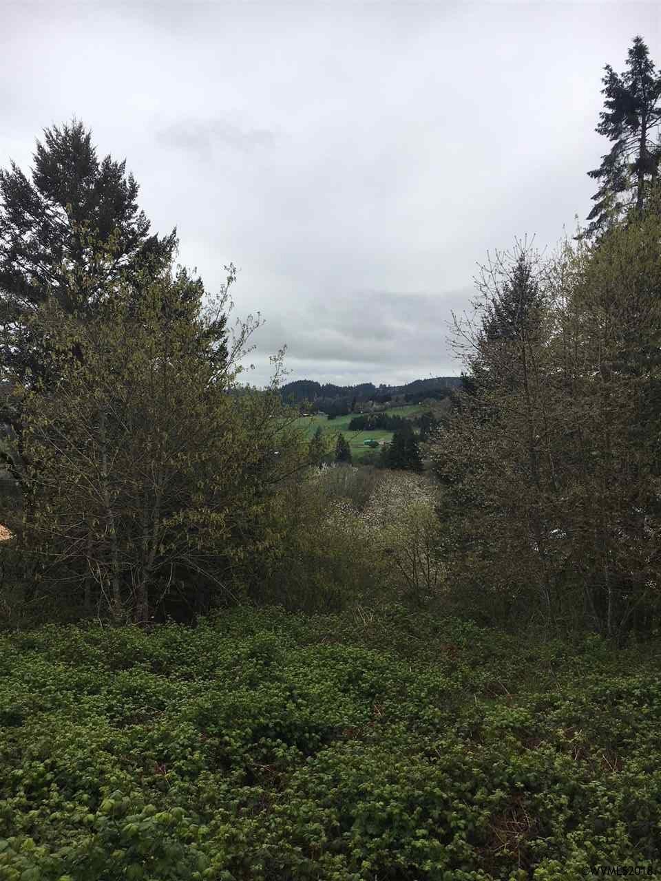 657 Grand View Heights - Photo 1