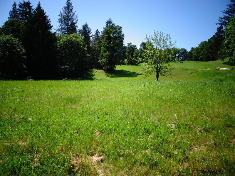 14175 Creekside - Photo 1