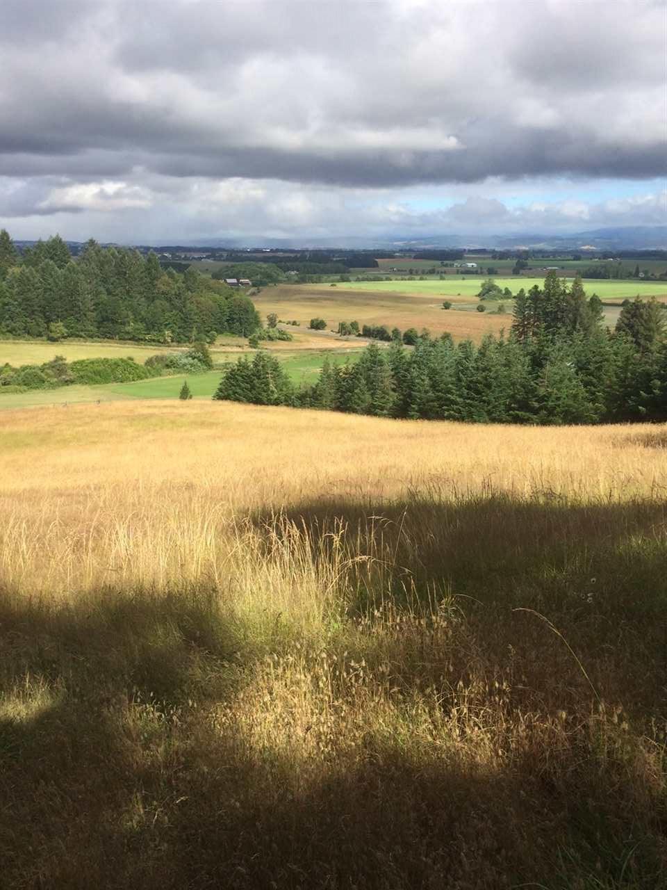 6880 Zena Rd - Photo 1