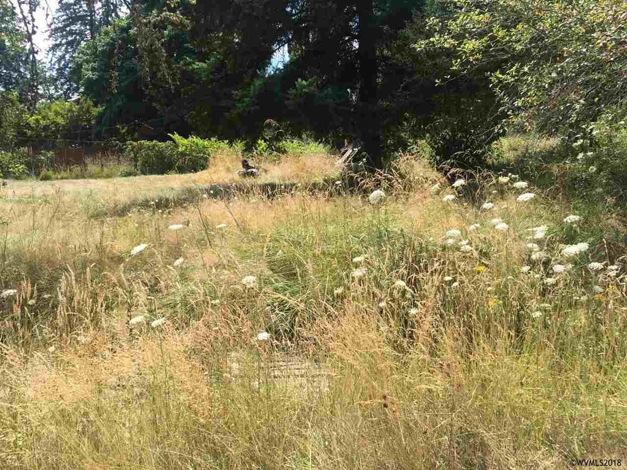 Country Club Dr (Lot #3) - Photo 1