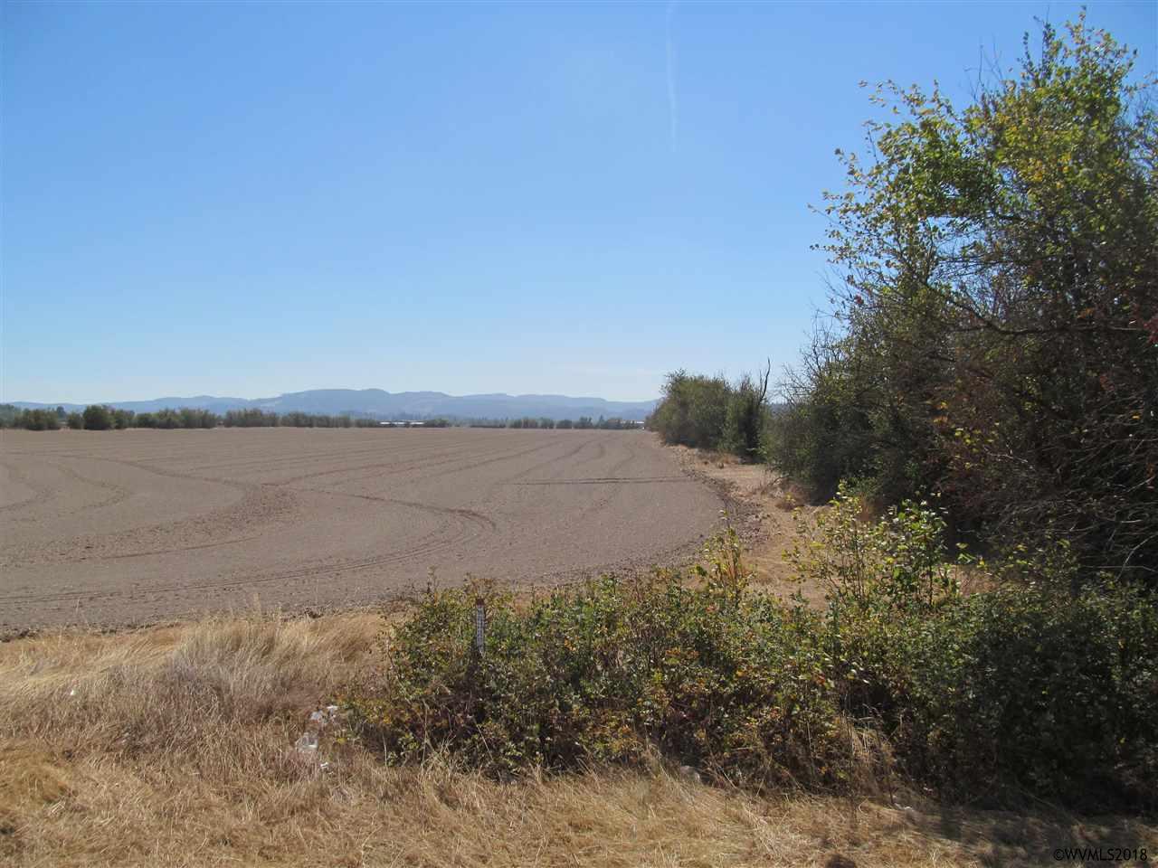 36600 Hwy 34 (West Of) - Photo 1