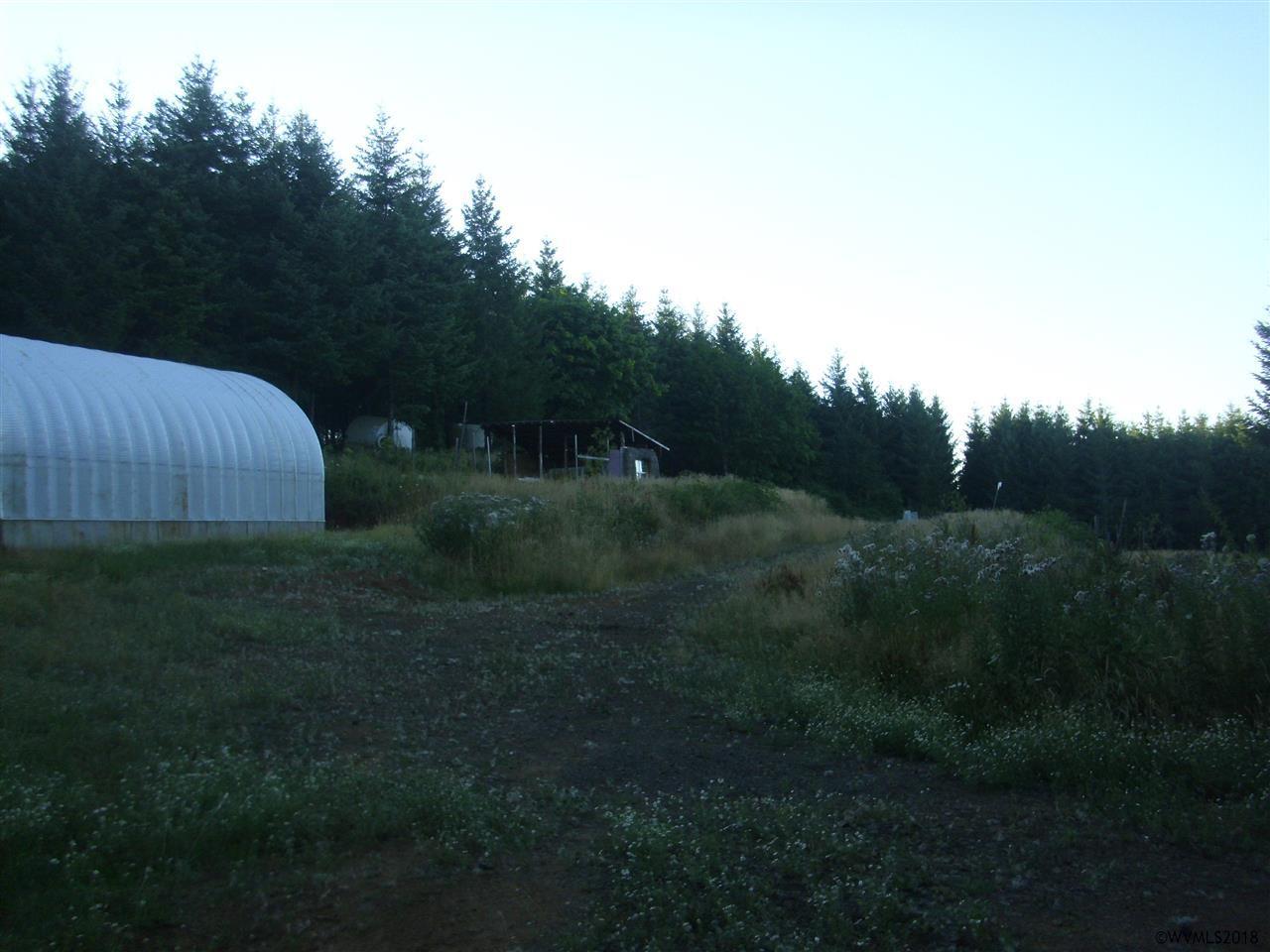 6801 Mctimmonds - Photo 1