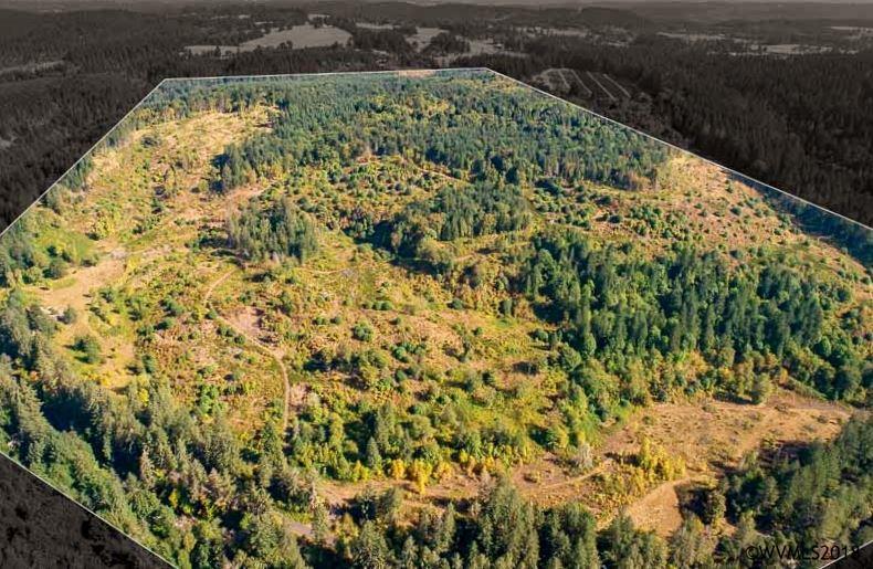 11525 Butte Creek - Photo 1