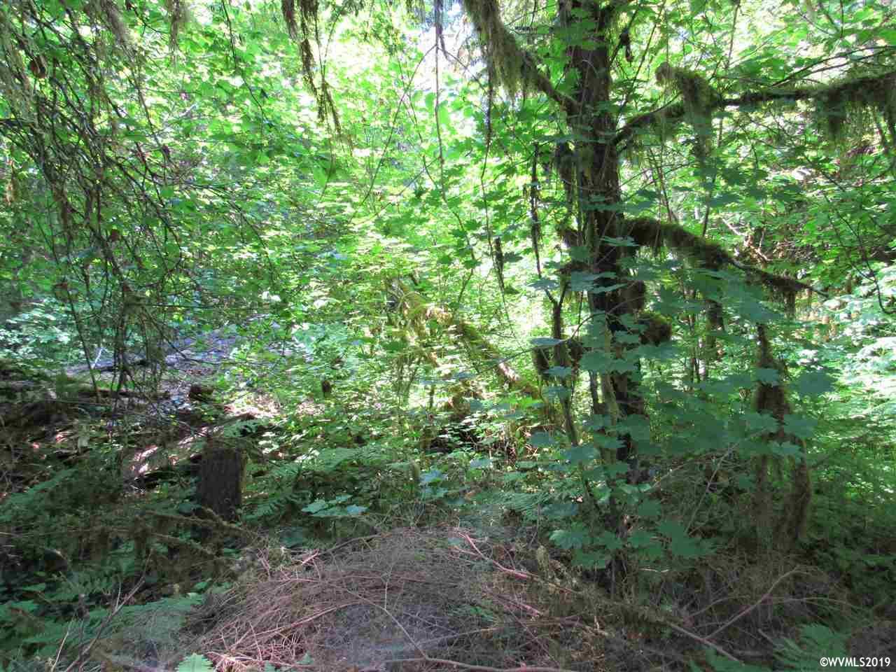 R41442 North Fork - Photo 1
