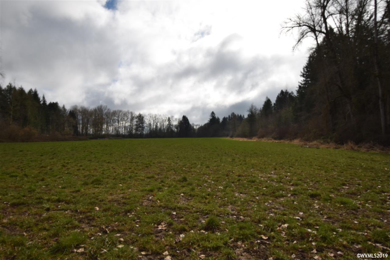 1 Scravel Hill - Photo 1