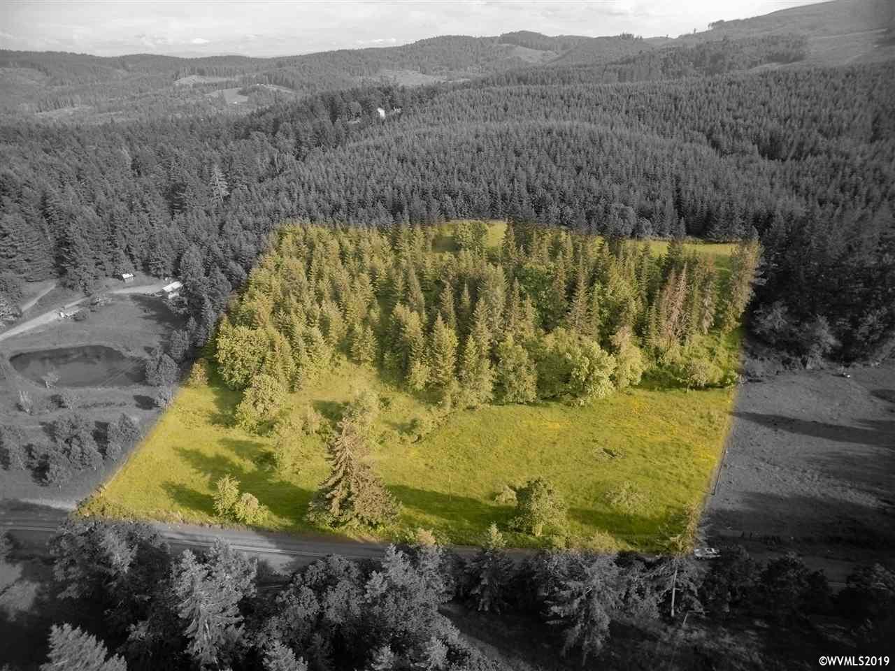 TL 606 Middle Ridge - Photo 1
