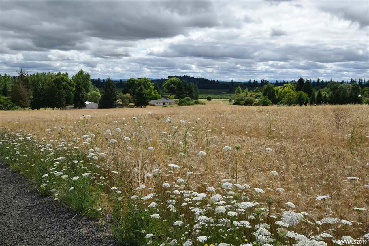 11555 Helmick (Lot #1) - Photo 1