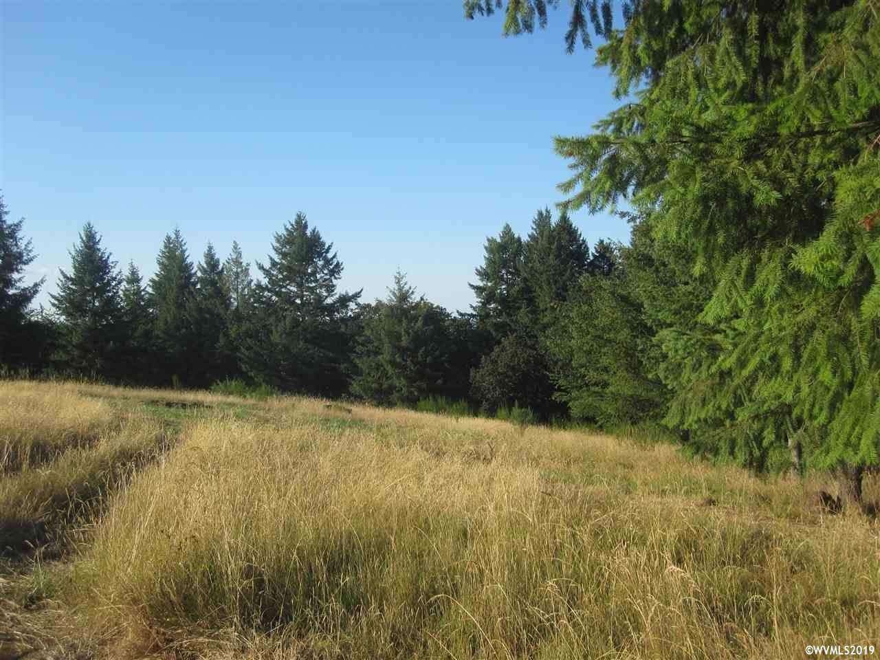 3950 Victor Point - Photo 1