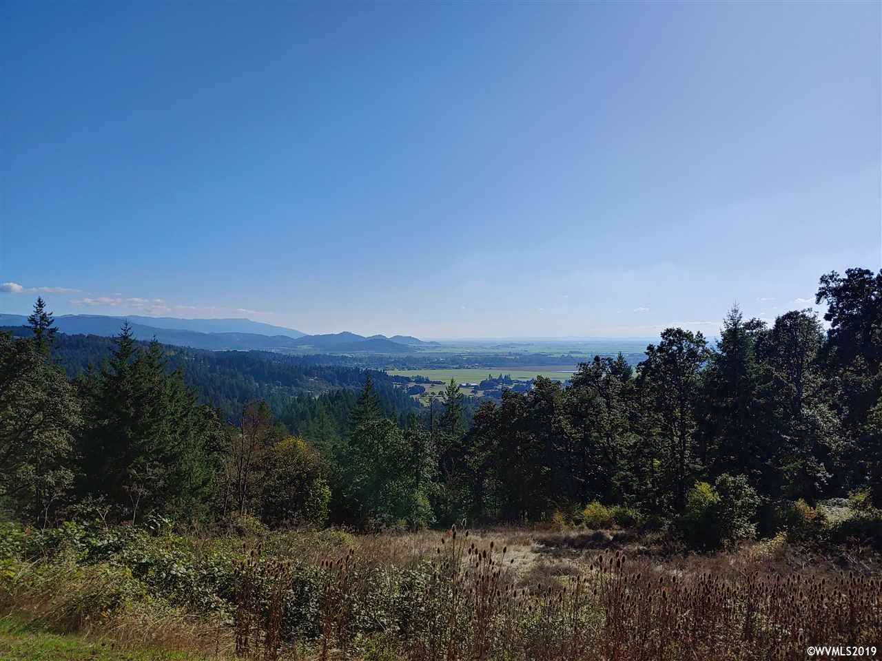 29110 Sheep Head Rd - Photo 1