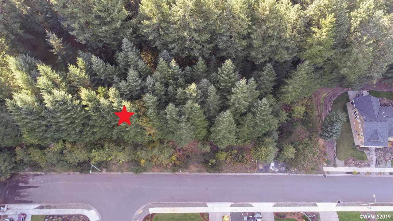 380 Boulder Ridge - Photo 1