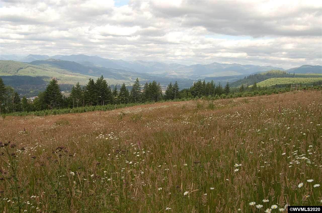 40593 Mccully Mountain (Next To) - Photo 1 40593 Mccully Mountain (Next To) - Photo 1