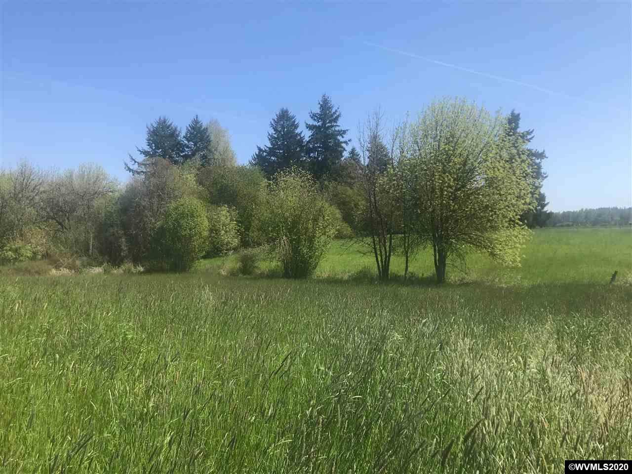 732 Macinnes - Photo 1