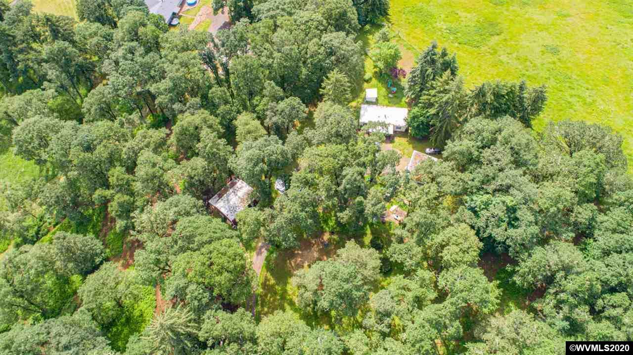 27421 Fern Ridge Rd - Photo 1