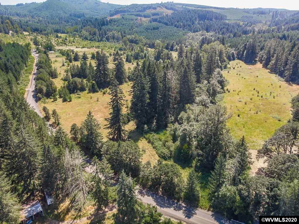 Sodaville Mountain Home (#1001) - Photo 1