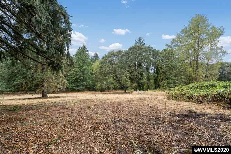 6448 Oak Dell - Photo 1