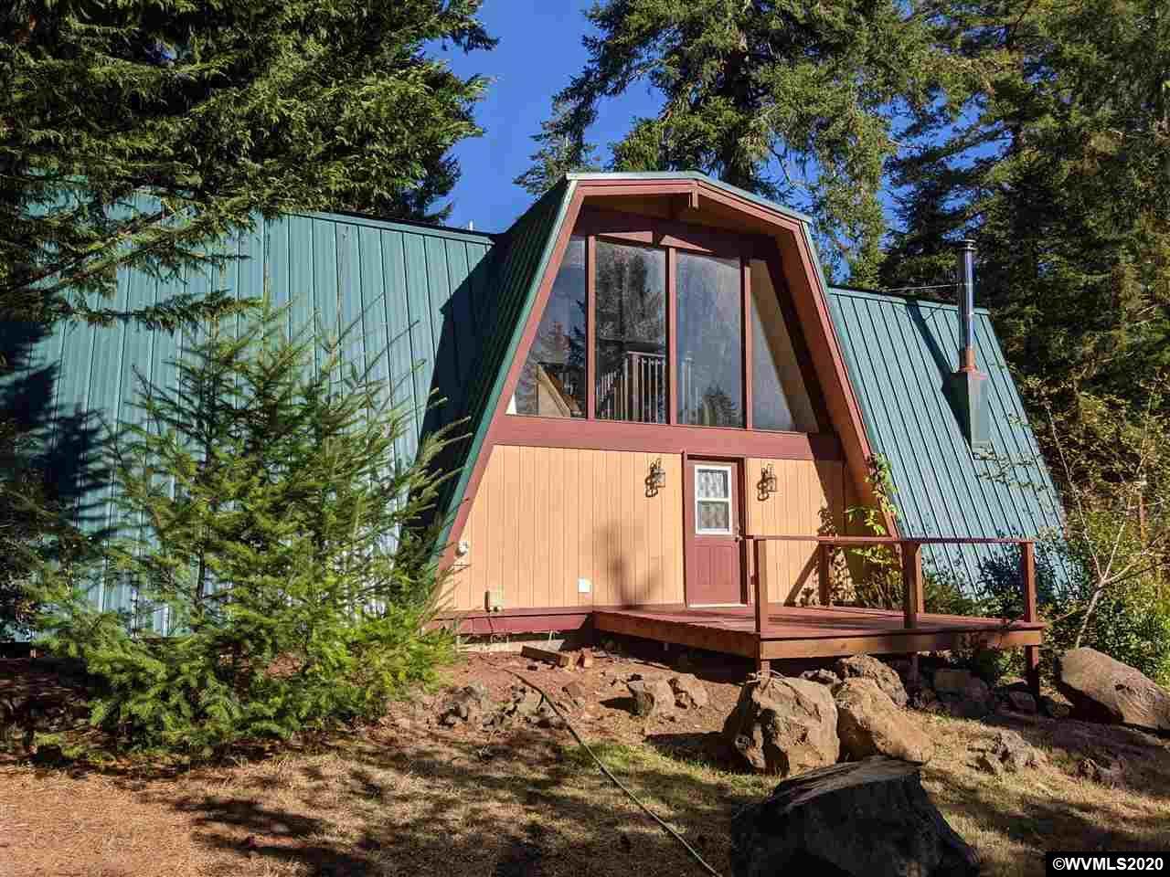 33815 Salmon River Hwy - Photo 1