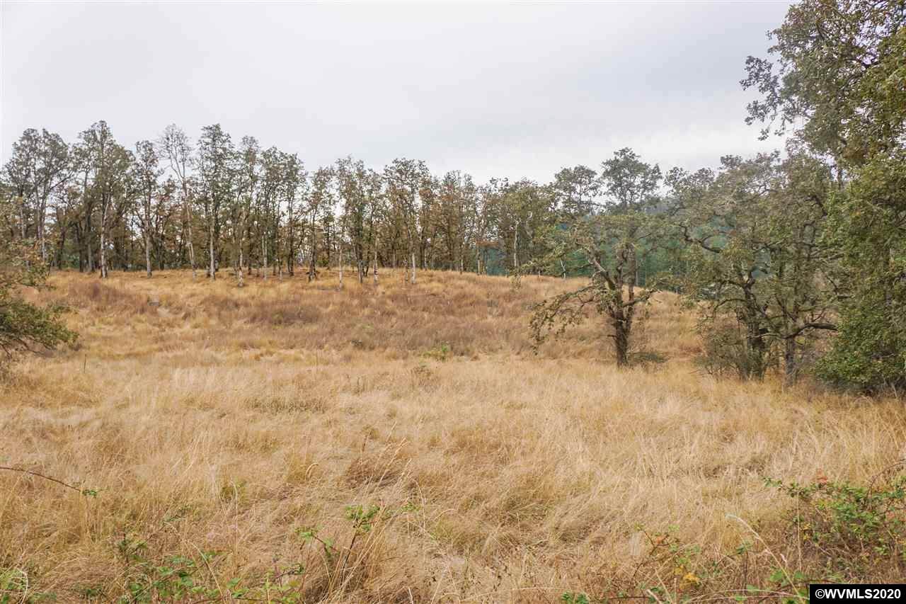 34910 Northernwood (Next To) - Photo 1