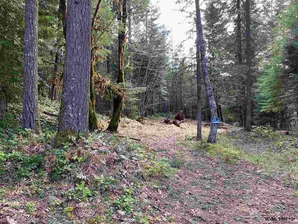 270 Cedar - Photo 1