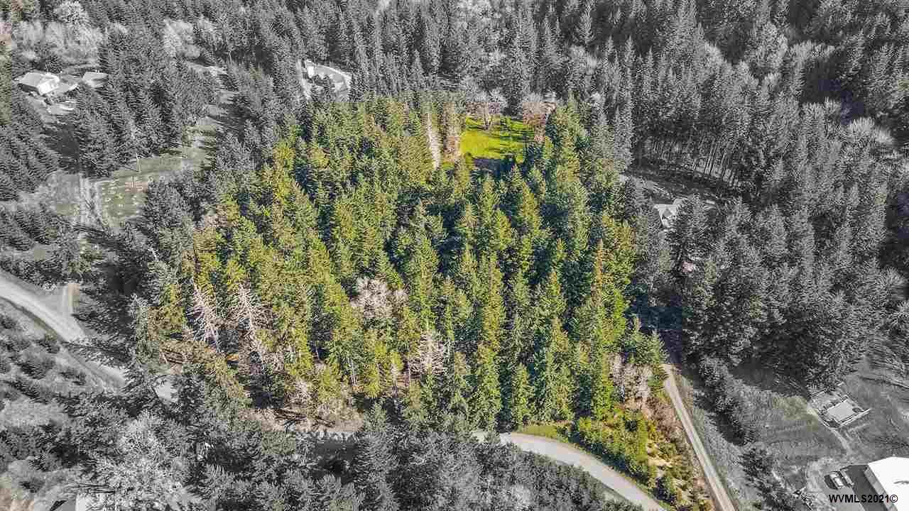 Canyon View (Lot 609) - Photo 1