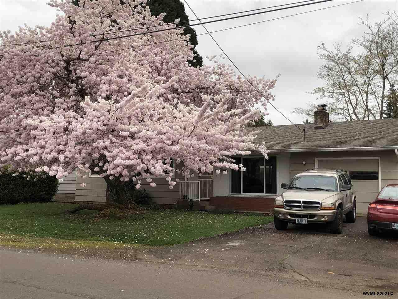 288 Mize Rd - Photo 1