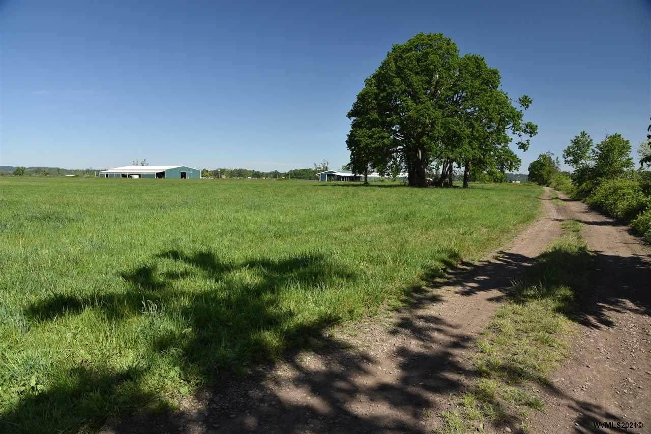 8272 Little Rd - Photo 1