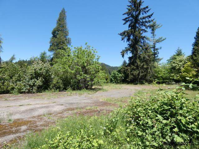 41723 Madrone - Photo 1