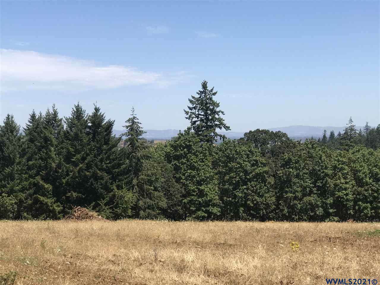 Woodland Heights (Lot #1 P2020-25) - Photo 1