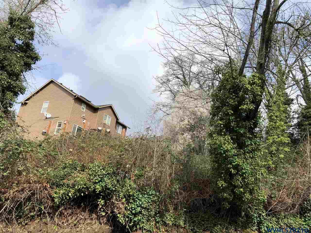 825 (Next To) Cascade - Photo 1