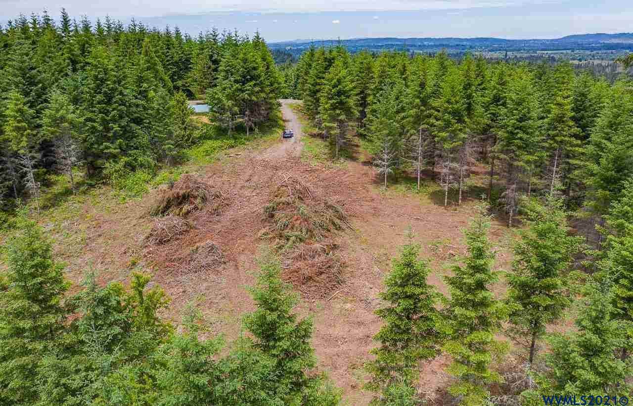 33737 Totem Pole (Lot #2) - Photo 1