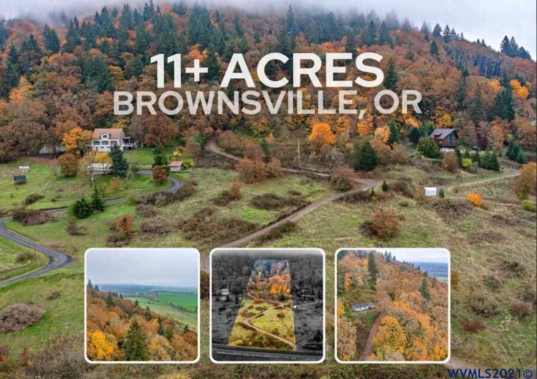 29015 Brownsville Rd - Photo 1