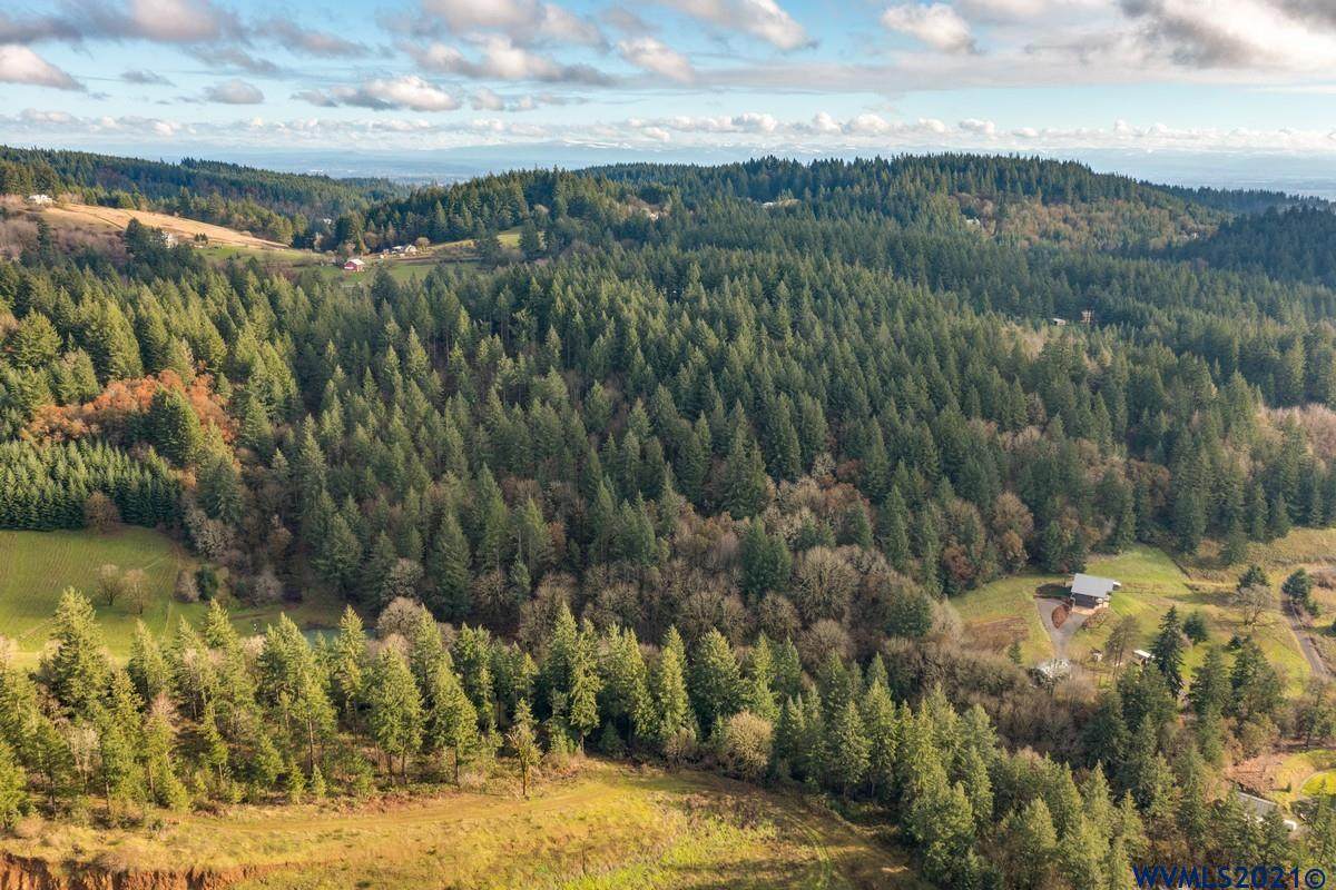 0 Wilsonville - Photo 1