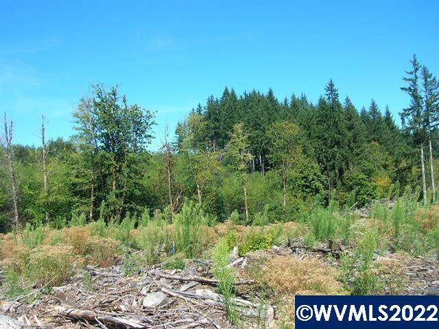Chapman Grange (Lot #25 & 26) - Photo 1