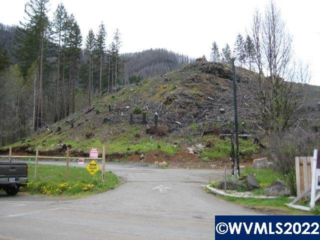 130 Breitenbush - Photo 1