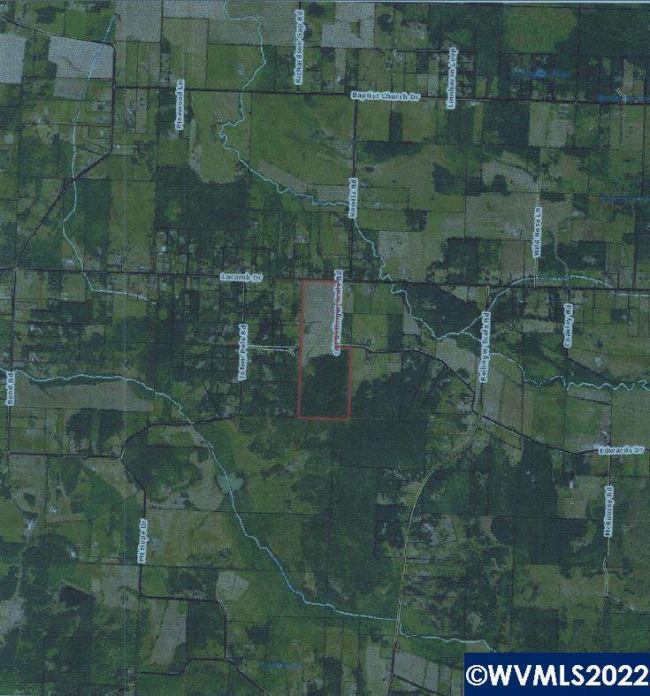33950 Bellinger Scale Rd - Photo 1